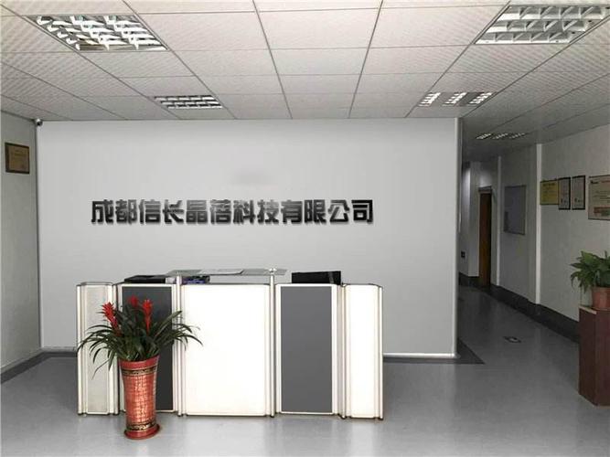 数字时代的双翼 信息系统集成服务与计算机软硬件批发的新商业图谱